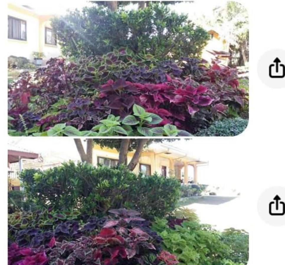 Seabreeze Beachfront And New Management